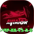 sojupg VIP BR v3.5.0